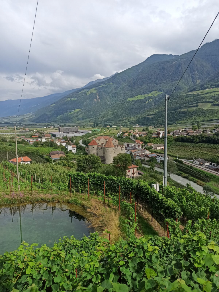 Vinschgau_Brigitte