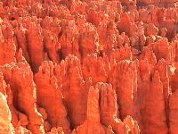 bryce_canyon_4_silent_city