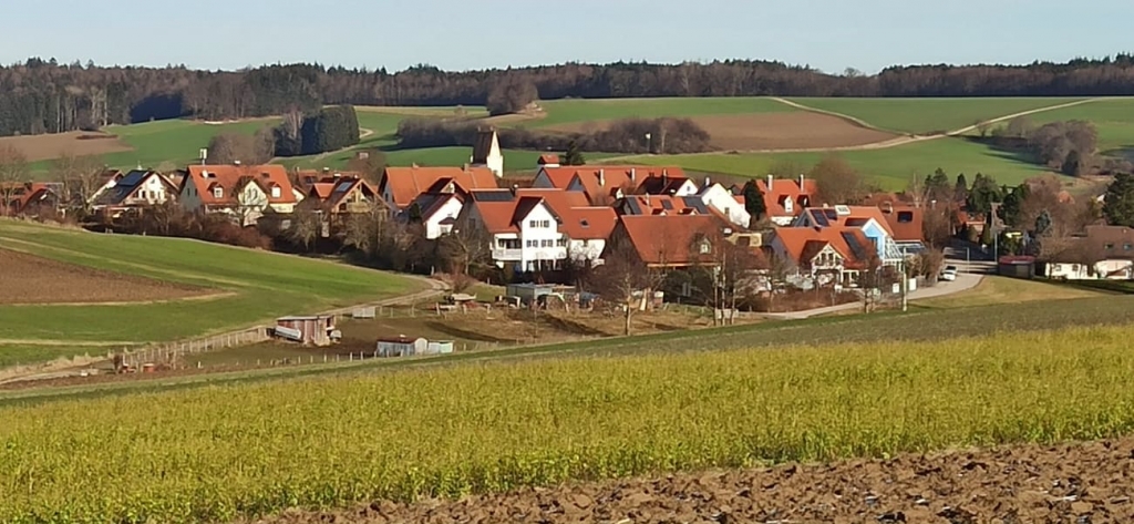 in_den_Stauden_Dez_2020