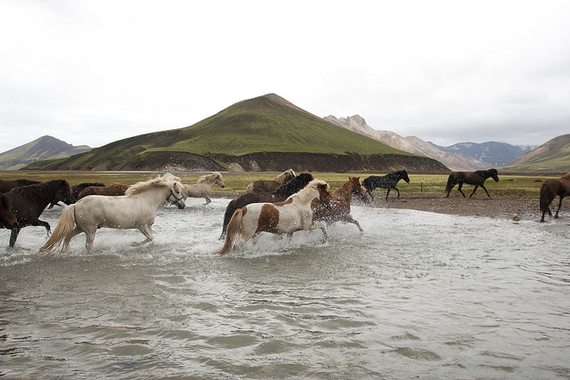 landmannalaugar2_z